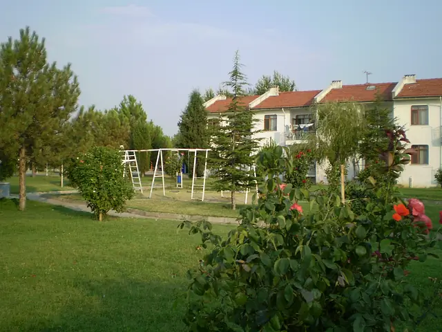 Çocuk parkı ve apart bloklar