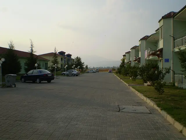 Tesis içi yollar