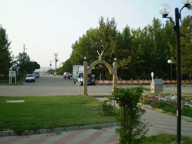 Tesis girişi