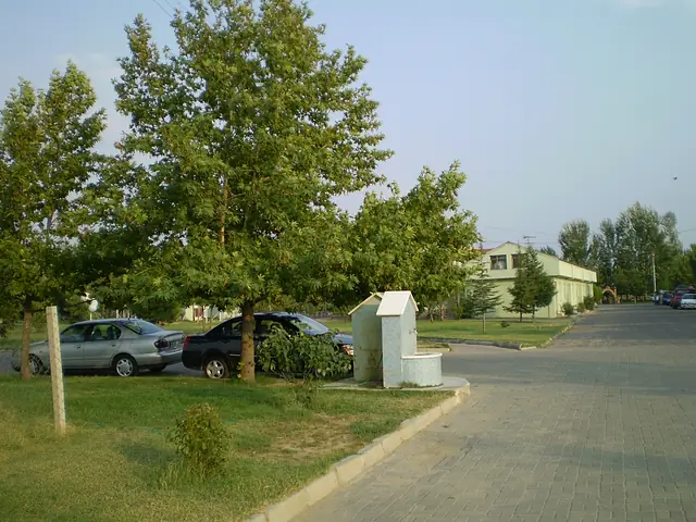 Yeşil alanlar